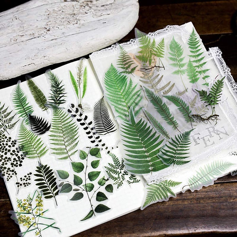 Doraking 65PCS Plants Scrapbook Stickers, DIY Decoration Transparent Sulfuric Paper Green Plants for Scrapbook, No-Repeat - Image 4